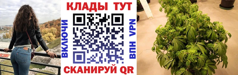 Все наркотики Кировск гидра tor  Меф  КОКАИН  ГАШ  Бошки Шишки  СК  Лсд 25 