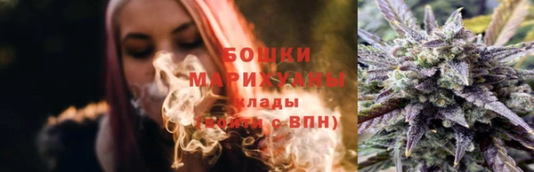 амф Инта