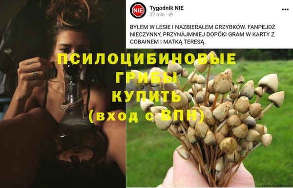 не бодяженный Инсар