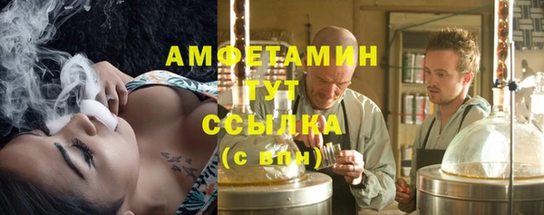 амф Инта