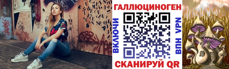 Псилоцибиновые грибы Psilocybe  ОМГ ОМГ зеркало  Кировск 