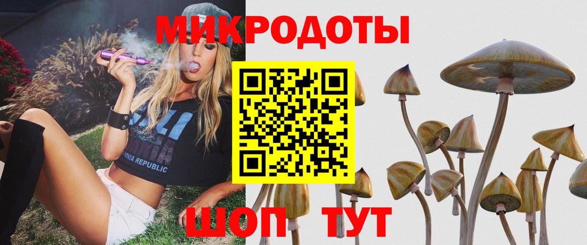 Кировск  Галлюциногенные грибы Cubensis  Вход с VPN 