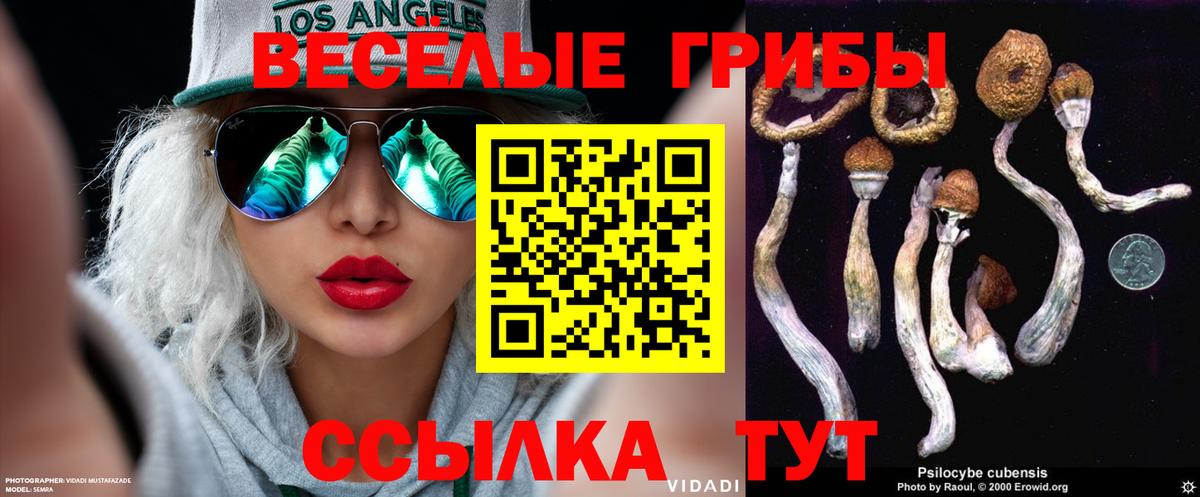 Псилоцибиновые грибы мицелий Кировск